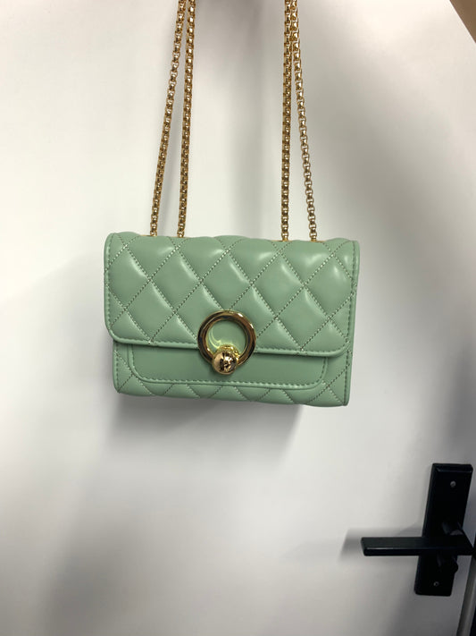 [YX] Gold hoop bag-1